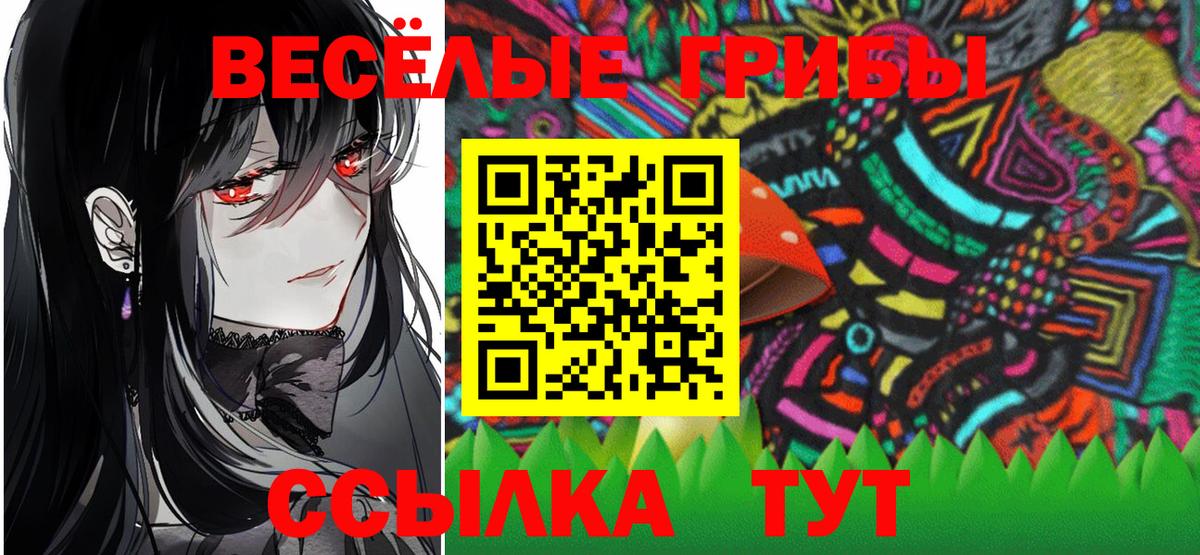 Галлюциногенные грибы Cubensis  Вход с VPN  Семёнов 
